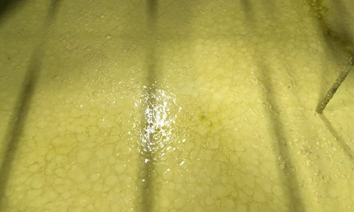 Fermentation