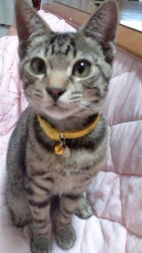 20120122202524.jpg