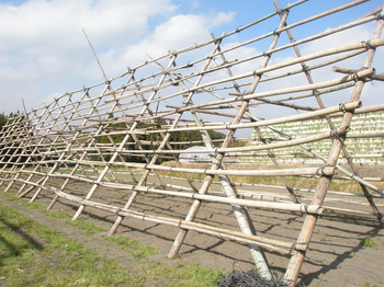 PC250071.JPG