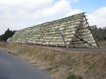 PC250072.JPG